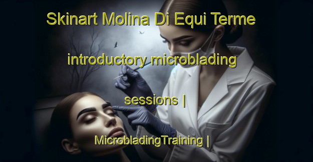 Skinart Molina Di Equi Terme introductory microblading sessions | MicrobladingTraining | MicrobladingClasses | SkinartTraining-Italy